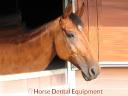 HDE péče o zuby koní